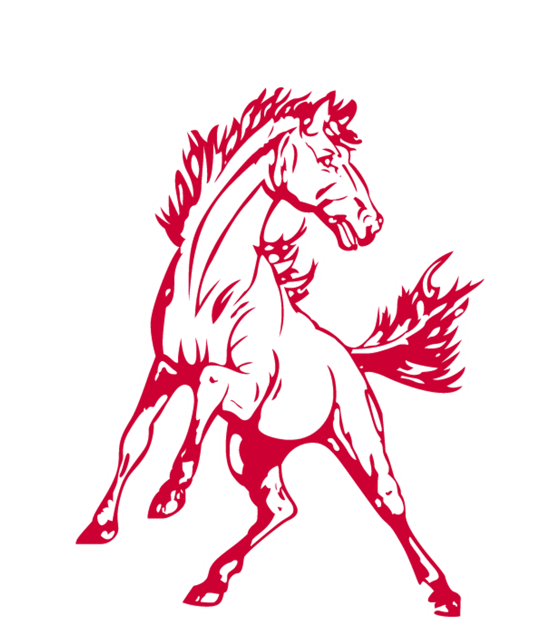 Red Lake County Central High School Logo