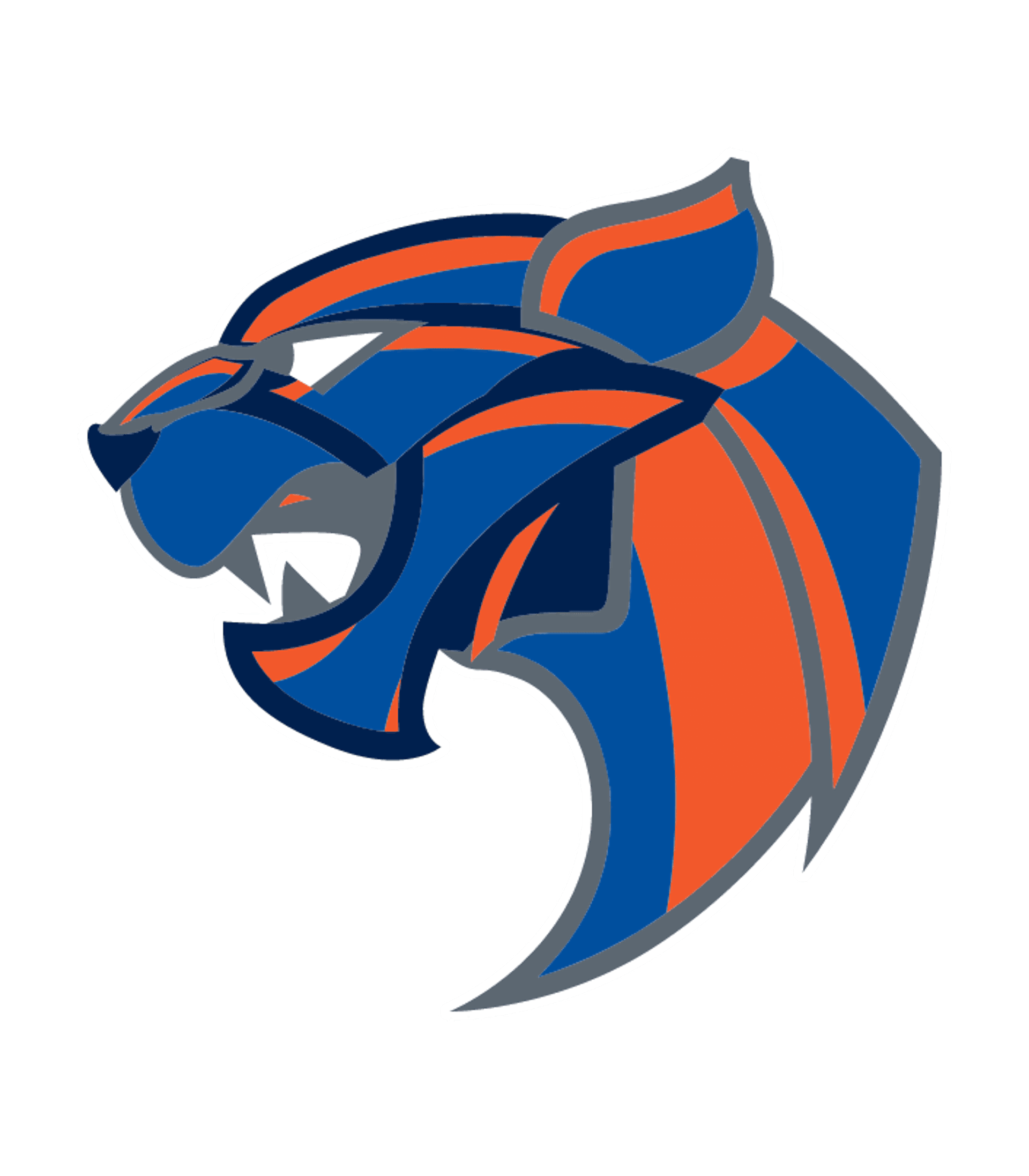 SPORTS LEADERSHIP ARTS MANAGEMENT CHARTER HIGH SCHOOL (NORT Logo