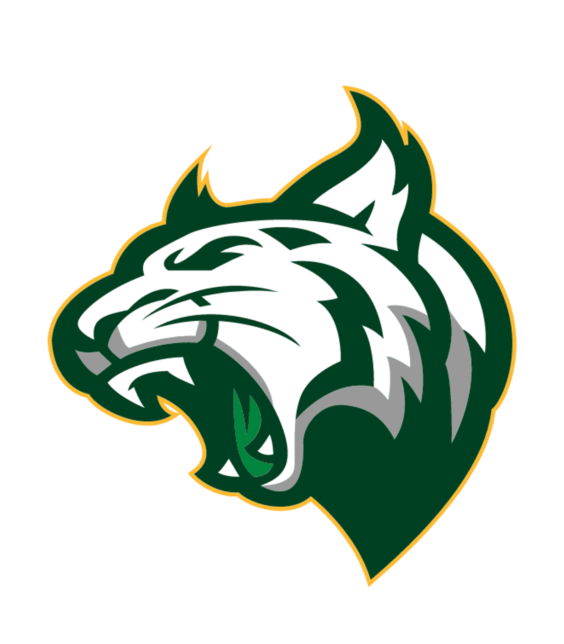 ADIRONDACK HIGH SCHOOL Logo