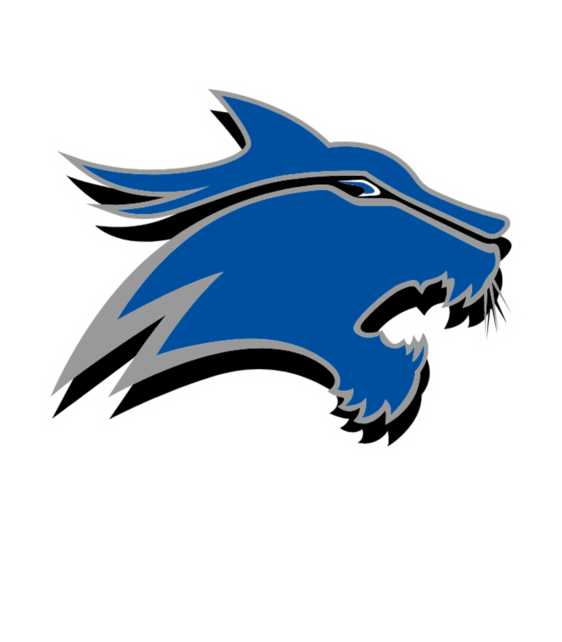 ANDY DEKANEY H S Logo