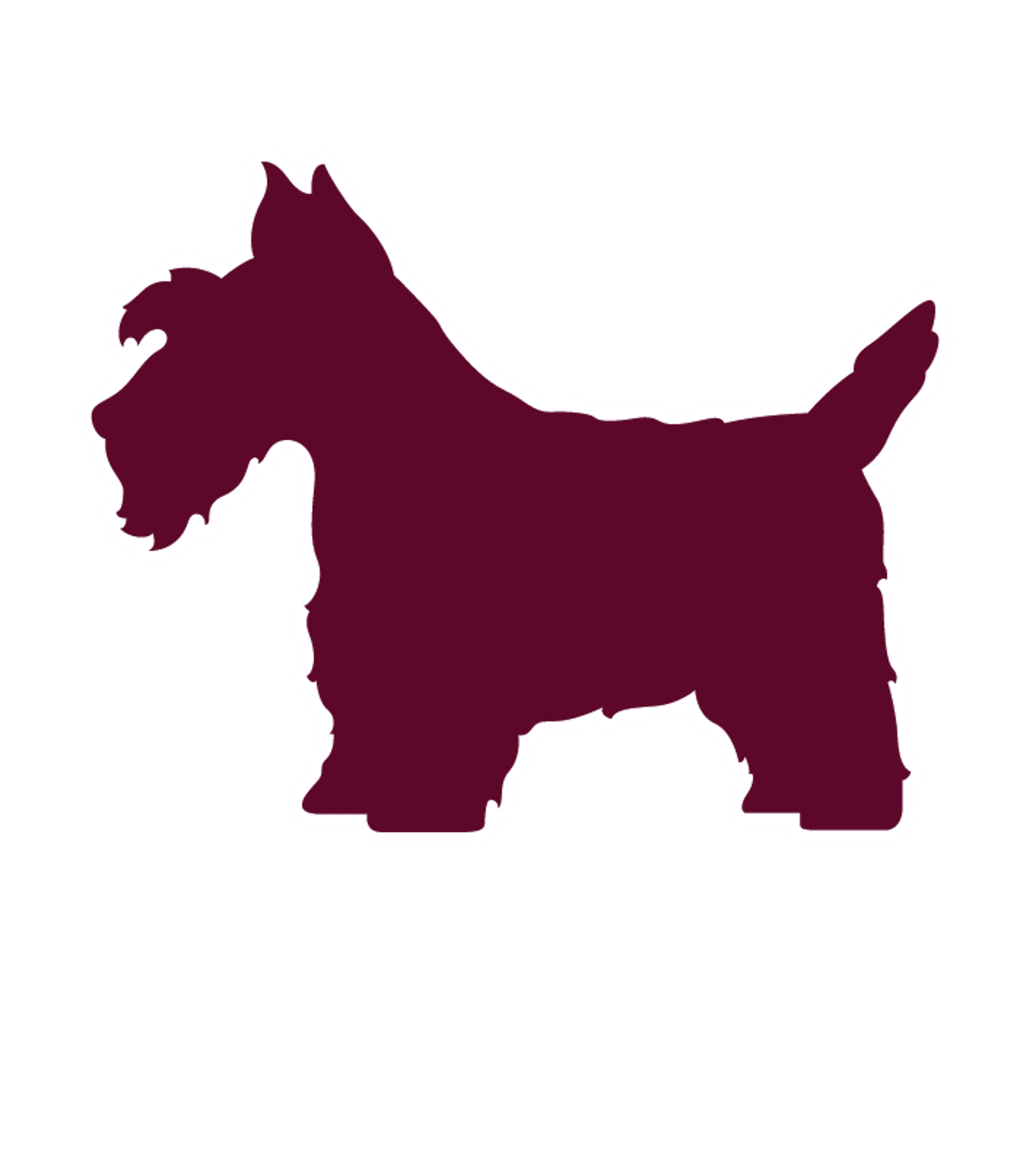 ARGYLE JUNIOR/SENIOR HIGH SCHOOL Logo