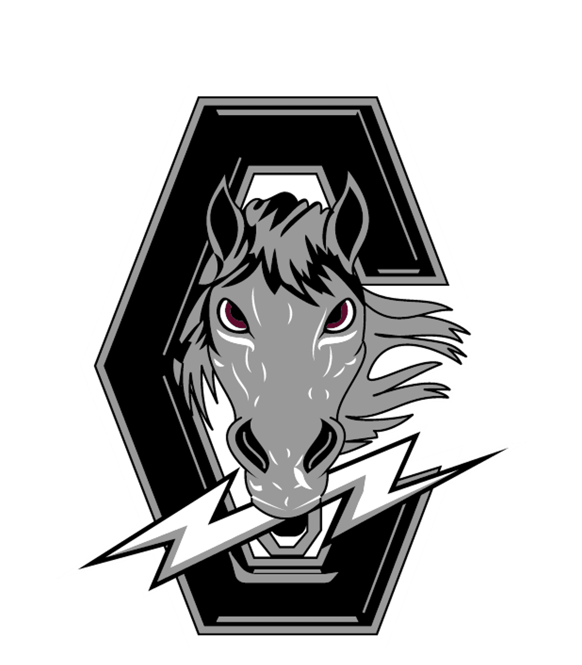 Chancellor High Logo