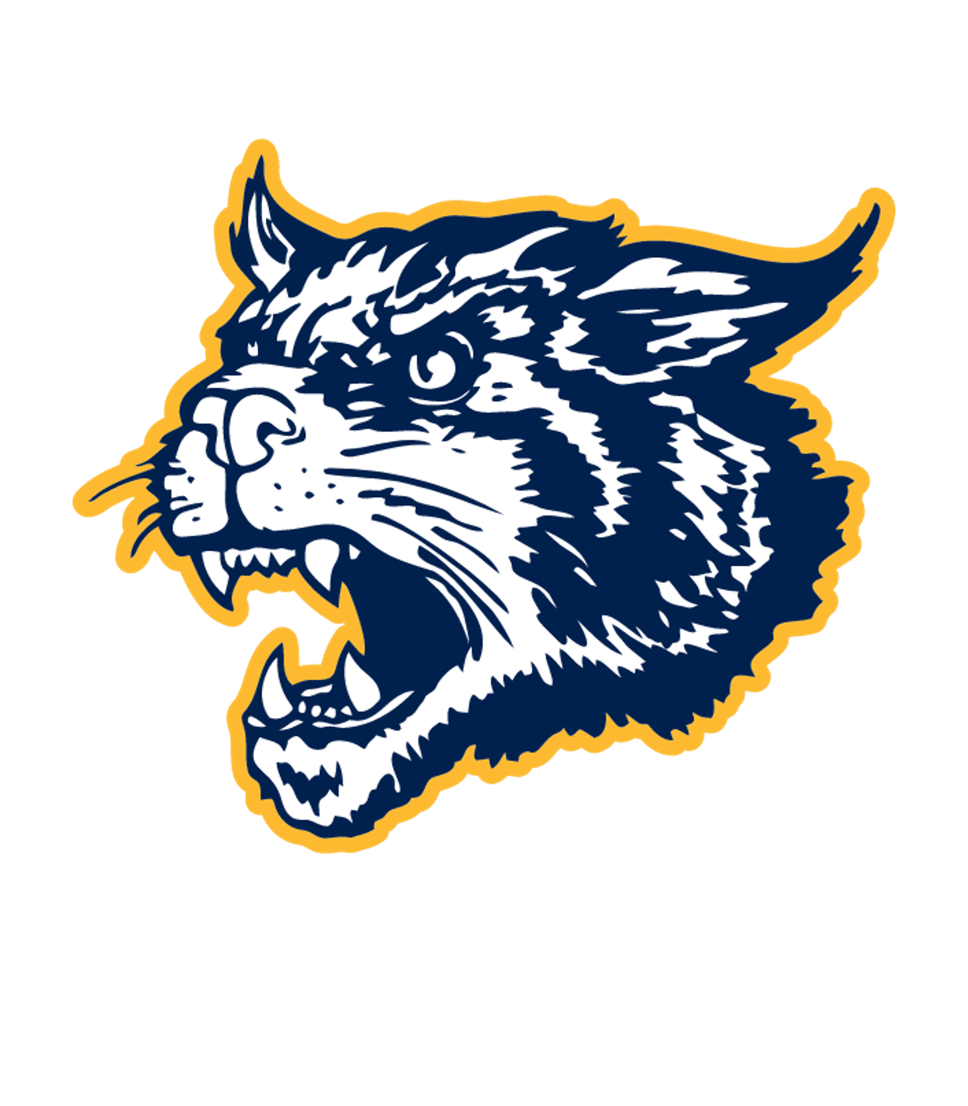 Ben Franklin Middle School Logo