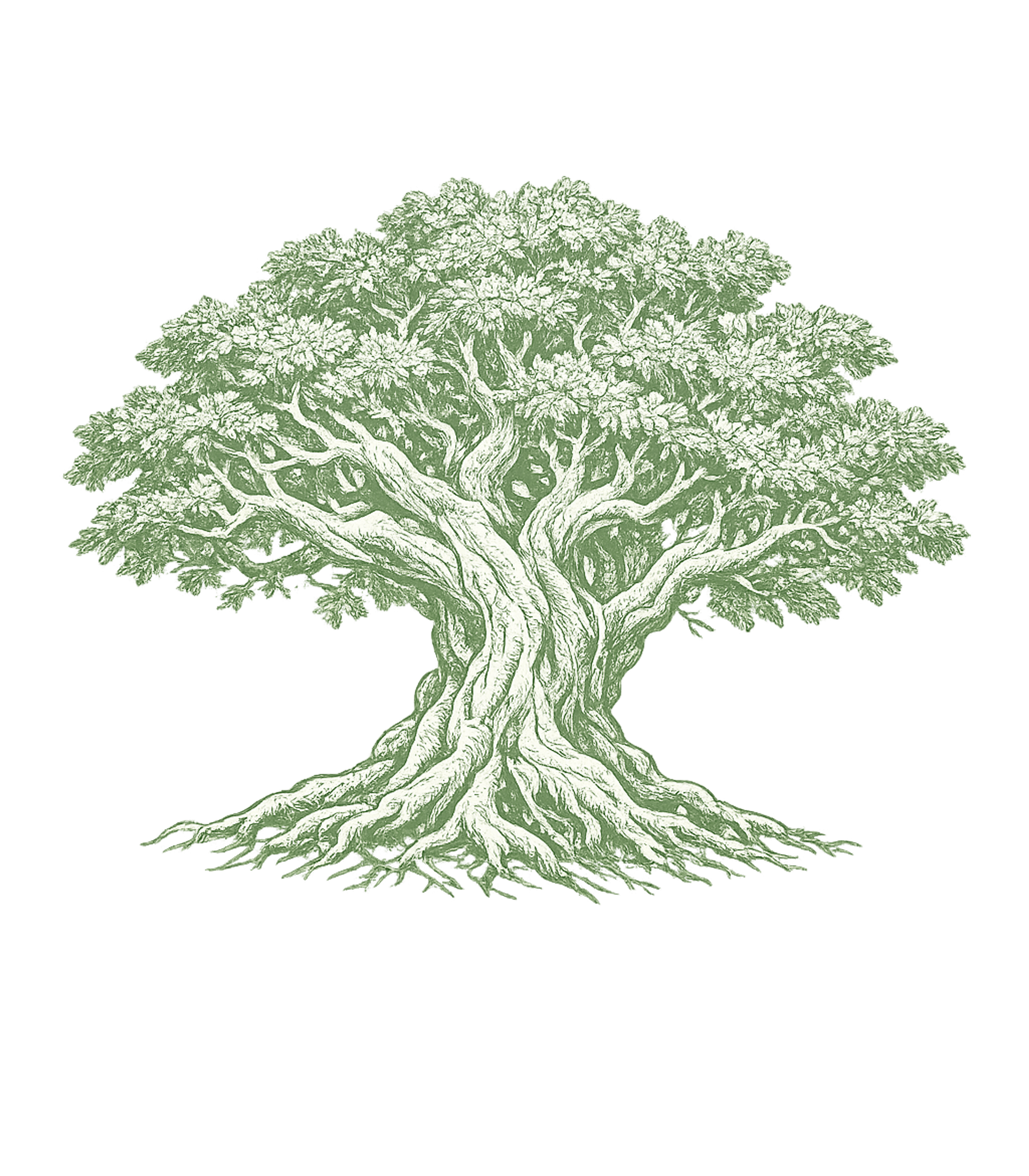 Ancient Tree of Life Inspirational Messages Premium T-Shirt featuring Embrace the timeless beauty of nature with this intricately – designed by Geoff Brown @ SunFrog Ancient Tree of Life Inspirational Messages Premium T-Shirt featuring Embrace the timeless beauty of nature with this intricately – designed by Geoff Brown @ SunFrog