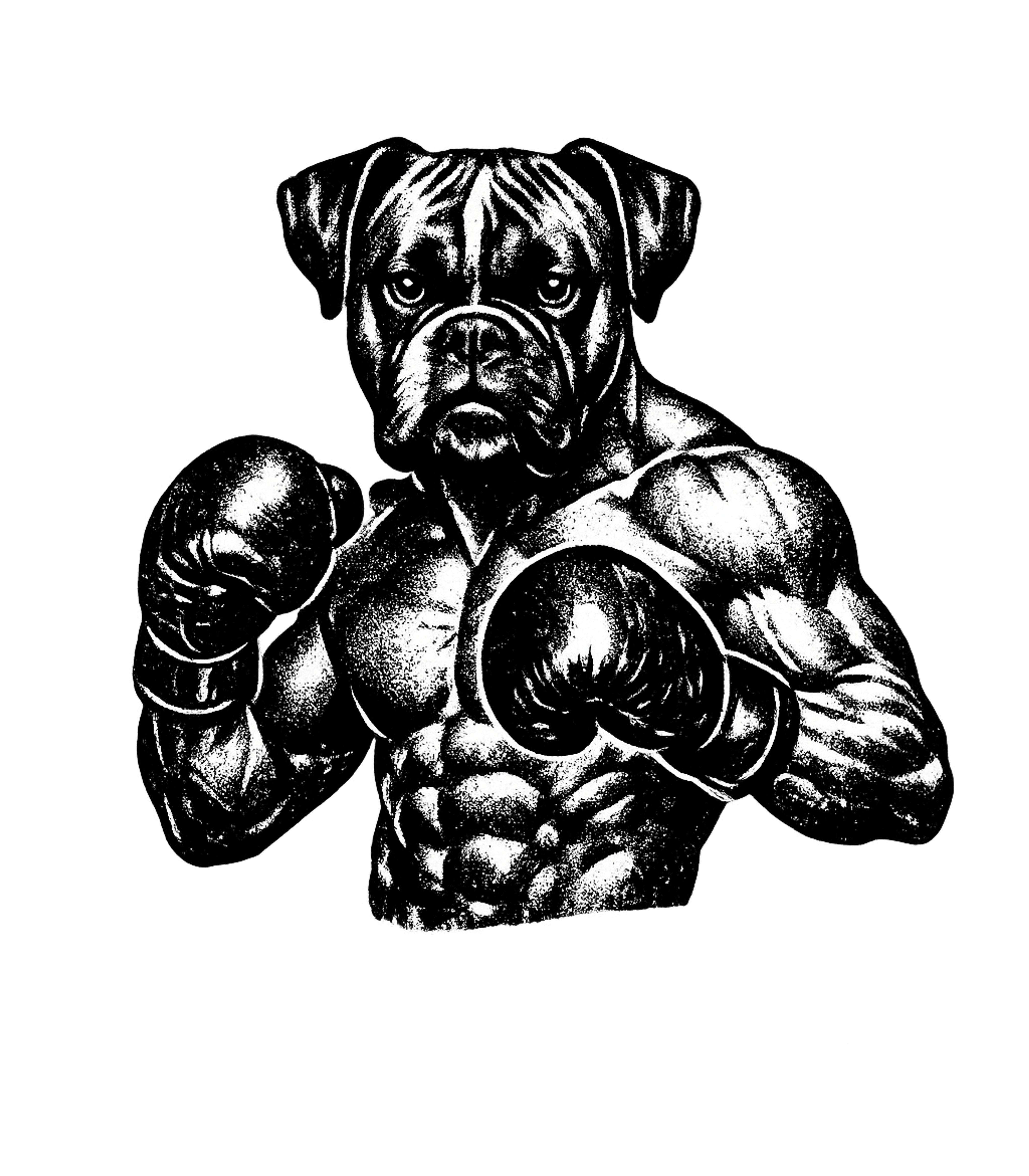 Boxer Dog Fighter Dogs Premium T-Shirt featuring Show your love for the powerful Boxer breed and the sport of – designed by Geoff Brown @ SunFrog Boxer Dog Fighter Dogs Premium T-Shirt featuring Show your love for the powerful Boxer breed and the sport of – designed by Geoff Brown @ SunFrog