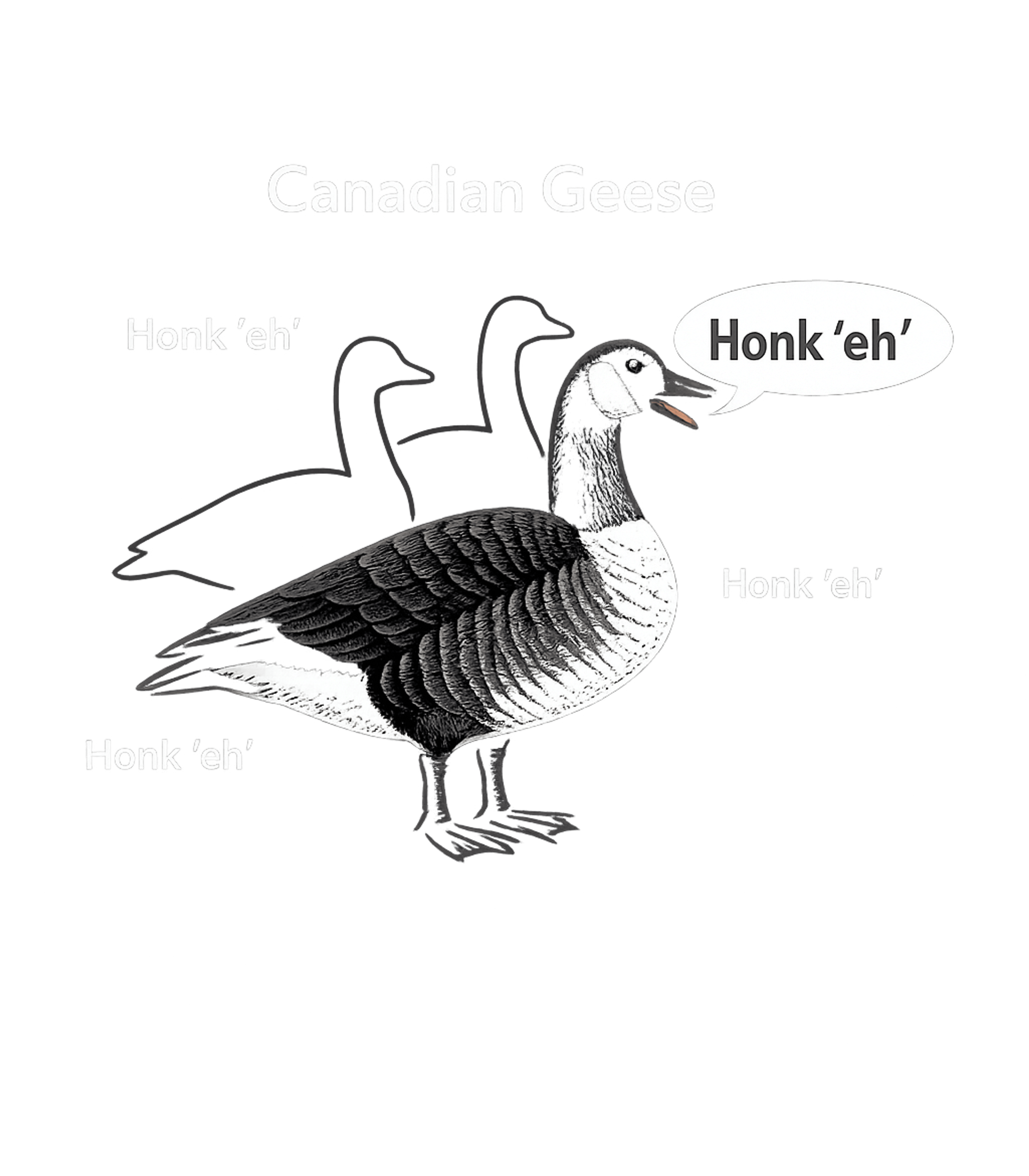 Canadian Geese Honk Eh Wildlife Premium T-Shirt featuring Embrace Canadian charm with this funny graphic featuring a C – designed by Geoff Brown @ SunFrog Canadian Geese Honk Eh Wildlife Premium T-Shirt featuring Embrace Canadian charm with this funny graphic featuring a C – designed by Geoff Brown @ SunFrog