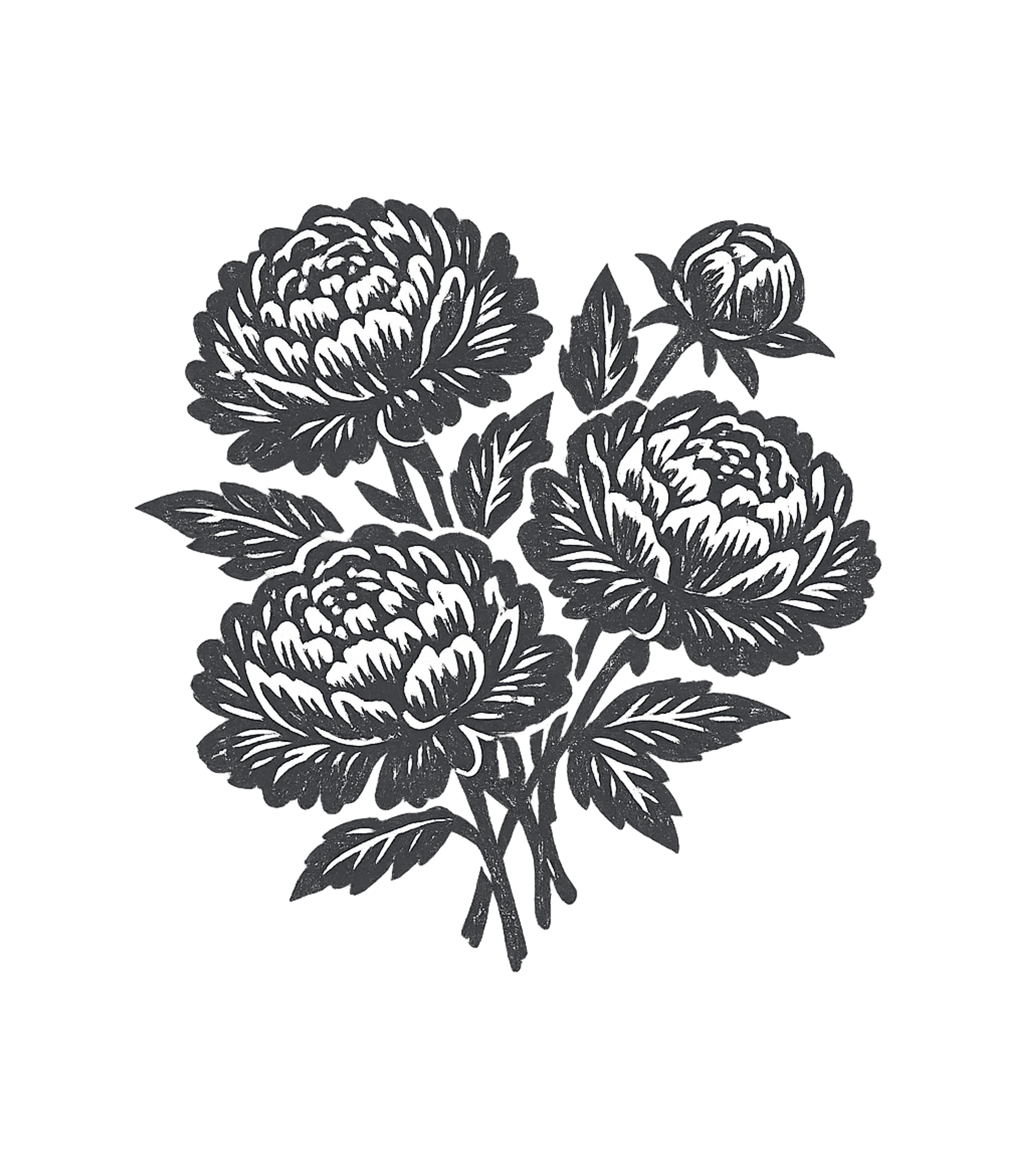 Classic Floral Art Photography Premium T-Shirt featuring Embrace the timeless beauty of nature with this elegant flor – designed by Geoff Brown @ SunFrog Classic Floral Art Photography Premium T-Shirt featuring Embrace the timeless beauty of nature with this elegant flor – designed by Geoff Brown @ SunFrog