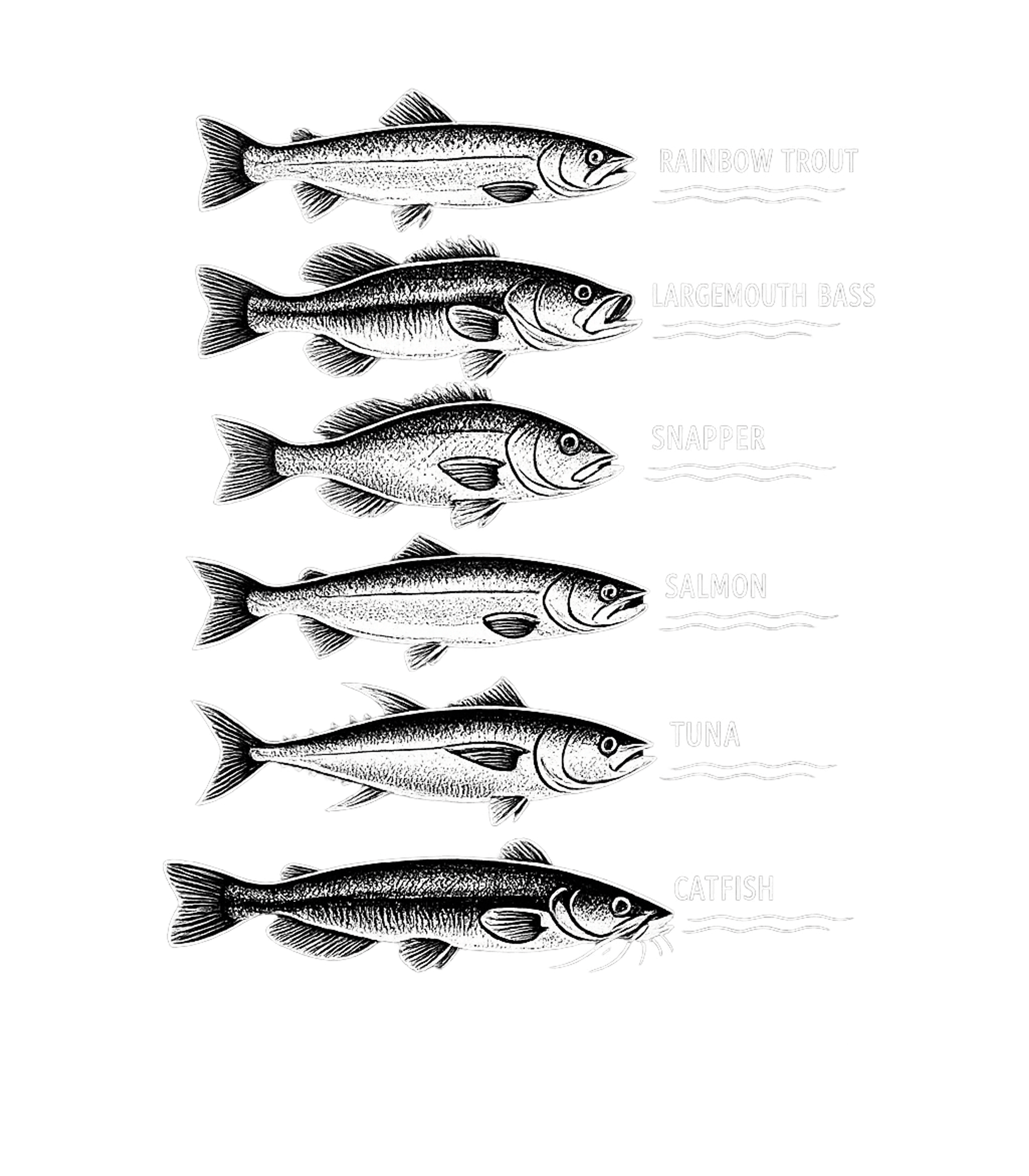 Common Fish Species Fishing Hooded Sweatshirt featuring Showcase your love for fishing and aquatic wildlife with thi – designed by Geoff Brown @ SunFrog Common Fish Species Fishing Hooded Sweatshirt featuring Showcase your love for fishing and aquatic wildlife with thi – designed by Geoff Brown @ SunFrog