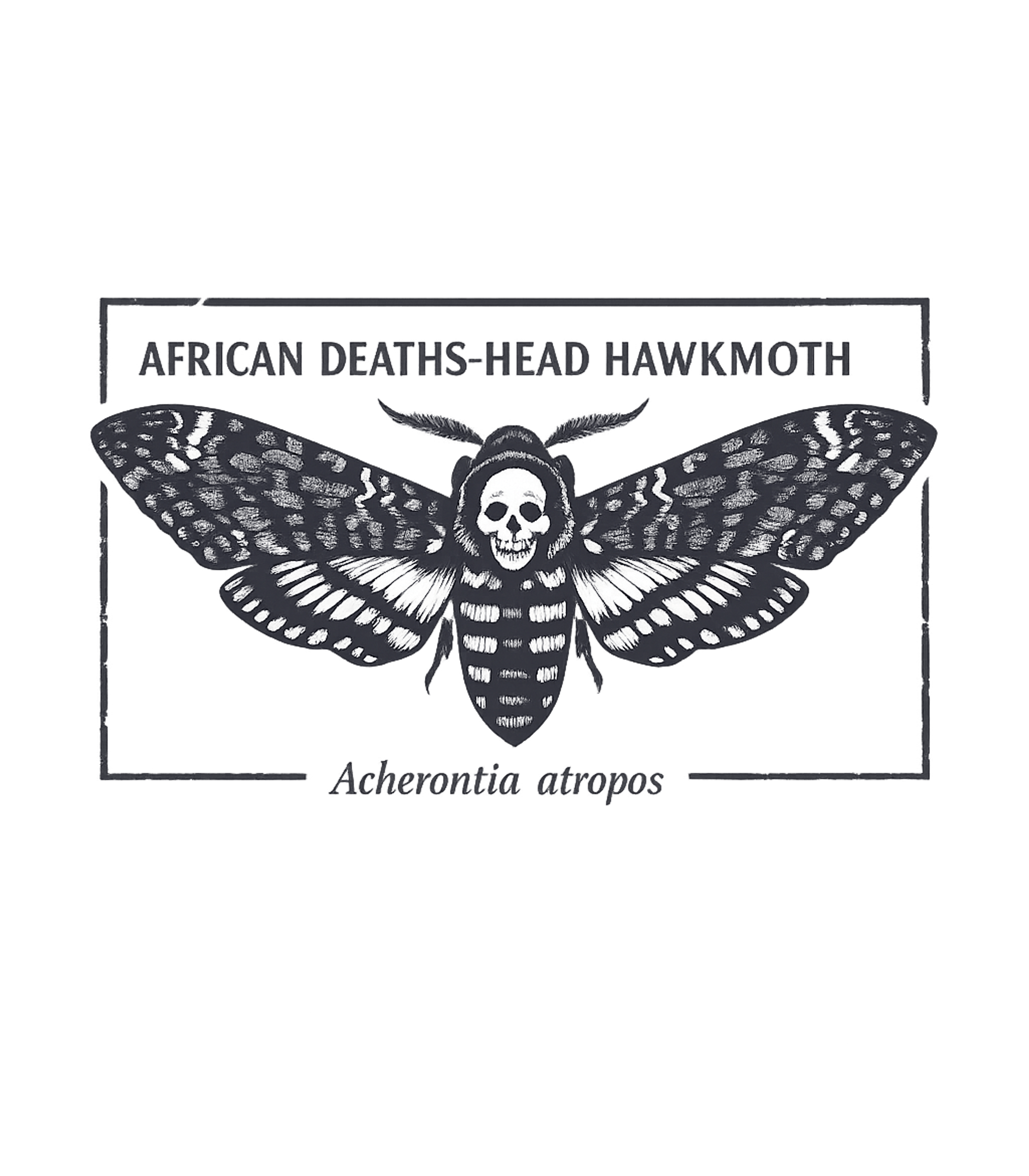 Deaths-Head Hawkmoth Skull Wildlife Premium T-Shirt featuring Showcase your fascination with the mysterious with this deta – designed by Geoff Brown @ SunFrog Deaths-Head Hawkmoth Skull Wildlife Premium T-Shirt featuring Showcase your fascination with the mysterious with this deta – designed by Geoff Brown @ SunFrog