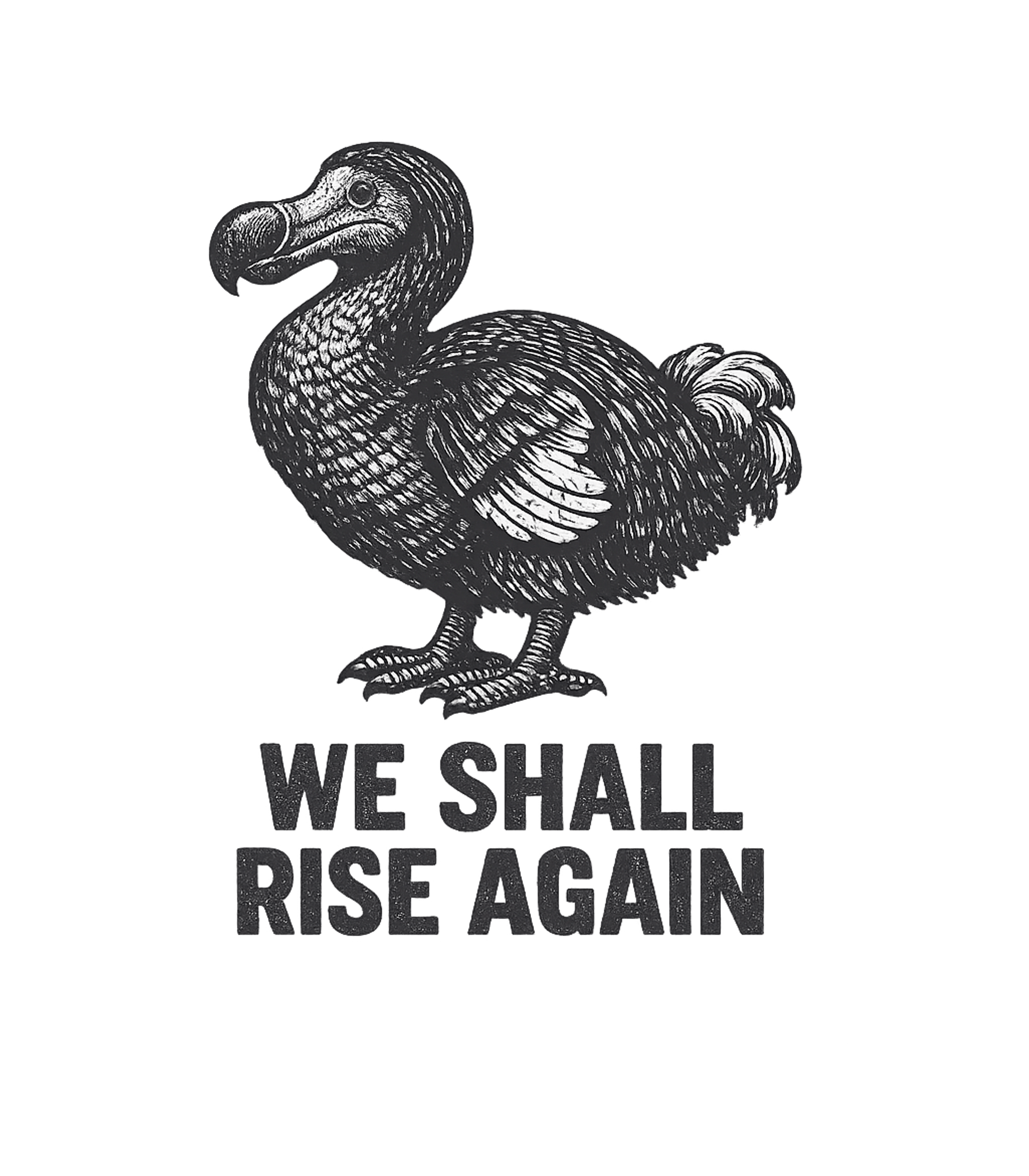 Dodo Will Rise Again Sarcasm Premium T-Shirt featuring This vintage-style graphic features a dodo bird with the def – designed by Geoff Brown @ SunFrog Dodo Will Rise Again Sarcasm Premium T-Shirt featuring This vintage-style graphic features a dodo bird with the def – designed by Geoff Brown @ SunFrog