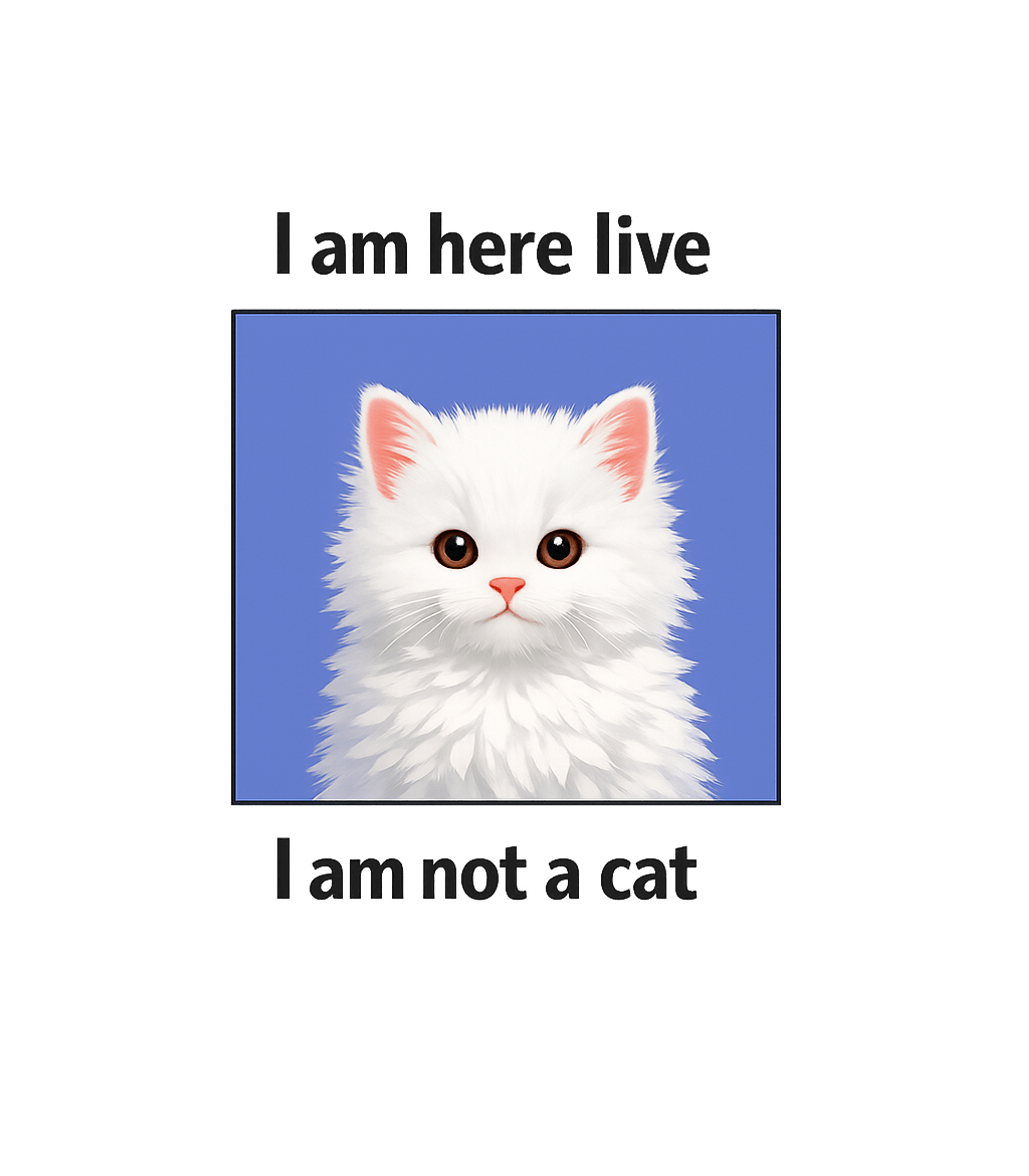 I Am Not A Cat Meme Meme Humor Hooded Sweatshirt featuring This funny graphic features a fluffy white cat with the vira – designed by Geoff Brown @ SunFrog I Am Not A Cat Meme Meme Humor Hooded Sweatshirt featuring This funny graphic features a fluffy white cat with the vira – designed by Geoff Brown @ SunFrog