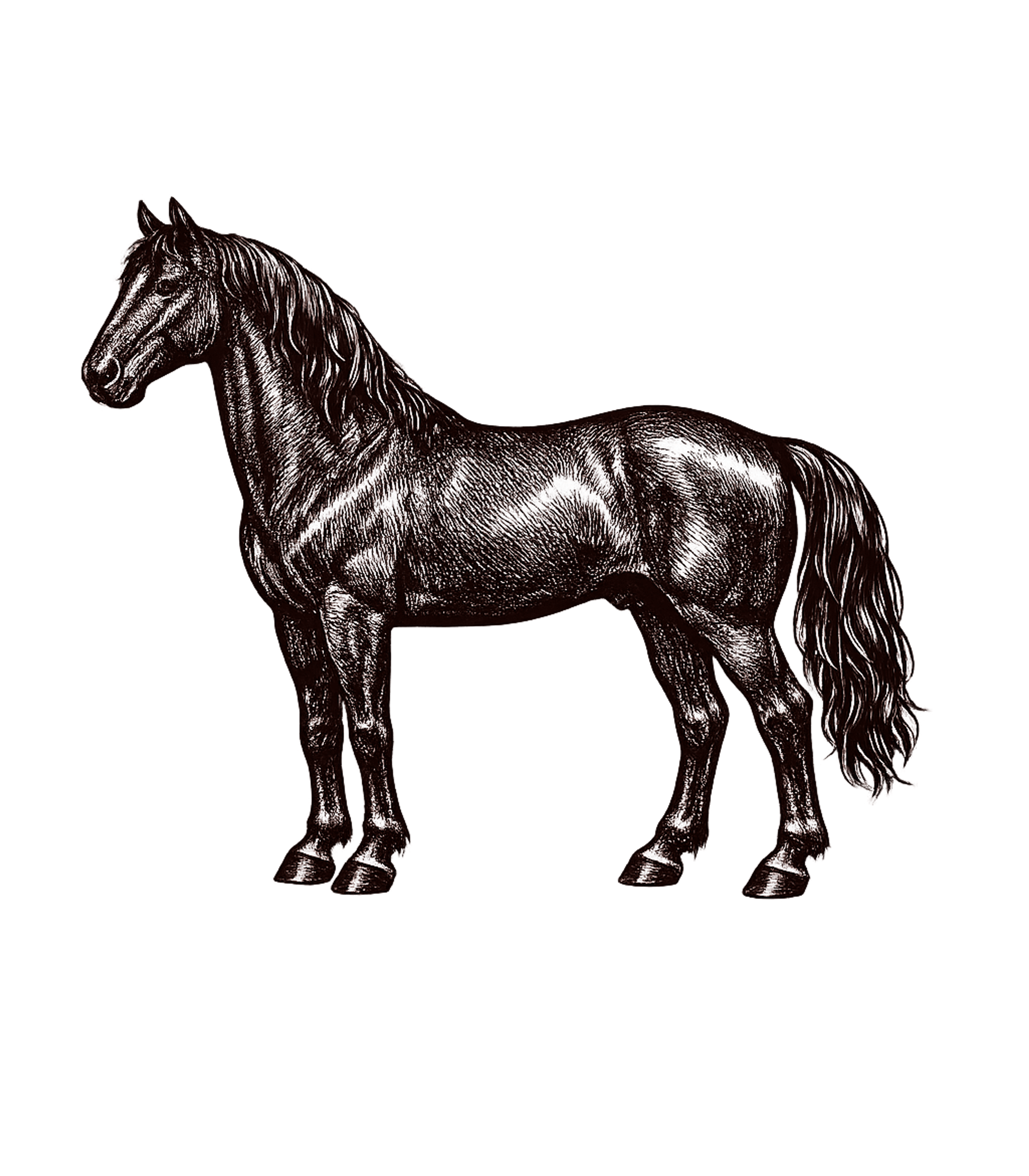 Majestic Horse Engraving Horses Crewneck Sweatshirt featuring Showcase your love for horses with this elegant, detailed il – designed by Geoff Brown @ SunFrog Majestic Horse Engraving Horses Crewneck Sweatshirt featuring Showcase your love for horses with this elegant, detailed il – designed by Geoff Brown @ SunFrog