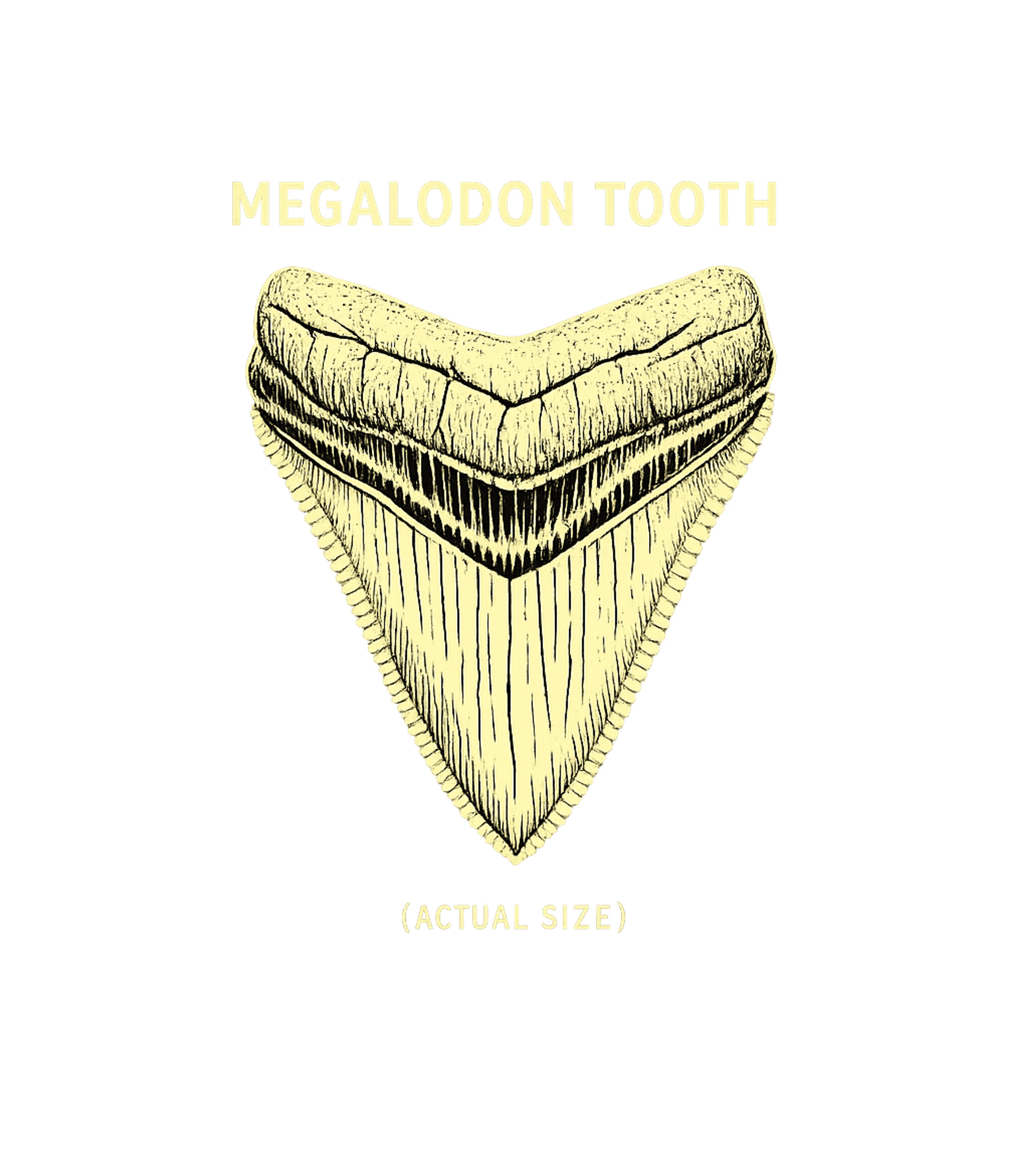 Megalodon Tooth Actual Size Wildlife Hooded Sweatshirt featuring Show your love for prehistoric creatures with this vintage-s – designed by Geoff Brown @ SunFrog Megalodon Tooth Actual Size Wildlife Hooded Sweatshirt featuring Show your love for prehistoric creatures with this vintage-s – designed by Geoff Brown @ SunFrog