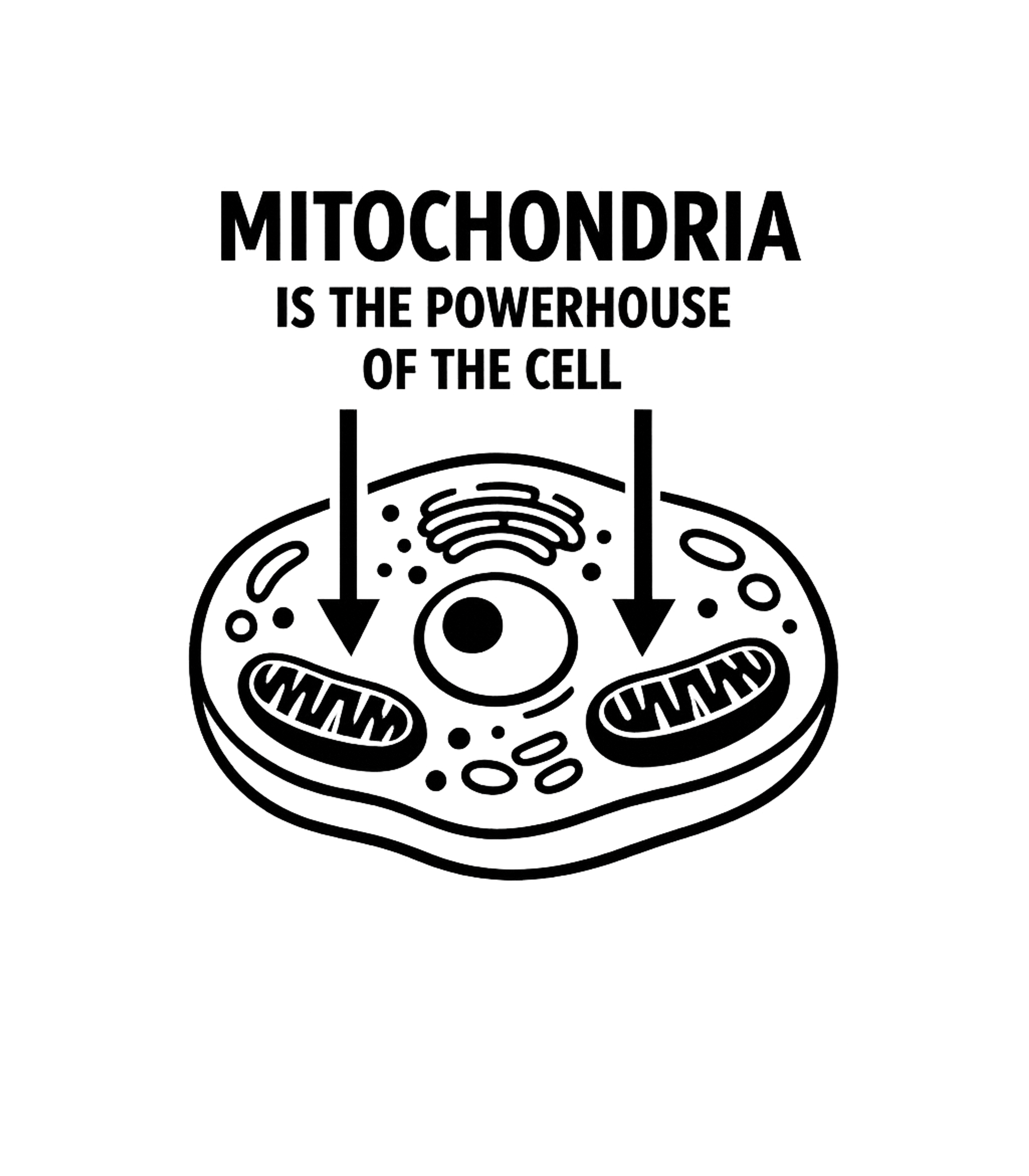 Therapist Lift Heavy Shit Fitness Hooded Sweatshirt featuring Embrace your gym therapy with this humorous design – designed by Geoff Brown @ SunFrog Therapist Lift Heavy Shit Fitness Hooded Sweatshirt featuring Embrace your gym therapy with this humorous design – designed by Geoff Brown @ SunFrog