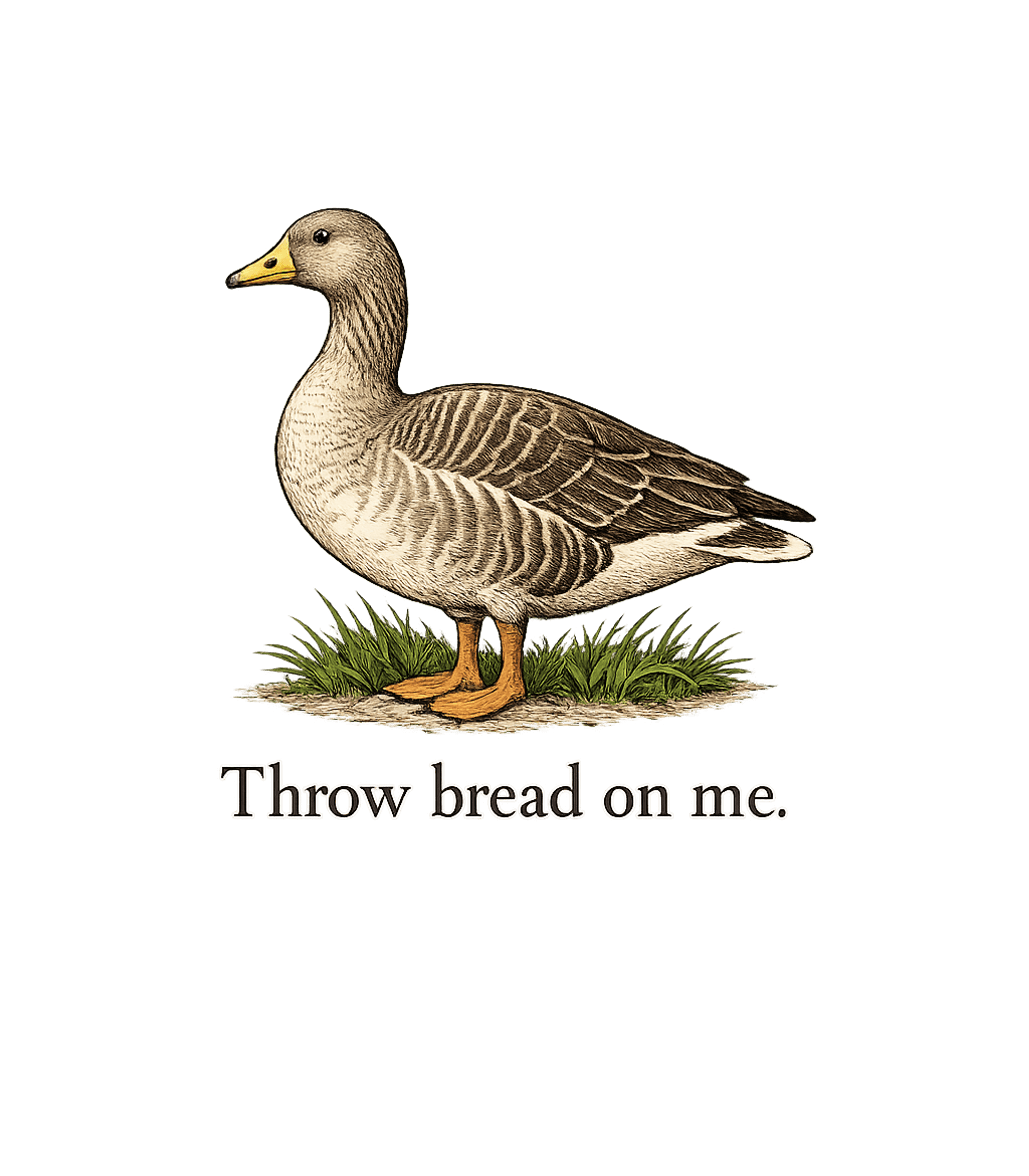 Throw Bread On Me Meme Humor Premium T-Shirt featuring This humorous graphic features a vintage-style goose invitin – designed by Geoff Brown @ SunFrog Throw Bread On Me Meme Humor Premium T-Shirt featuring This humorous graphic features a vintage-style goose invitin – designed by Geoff Brown @ SunFrog