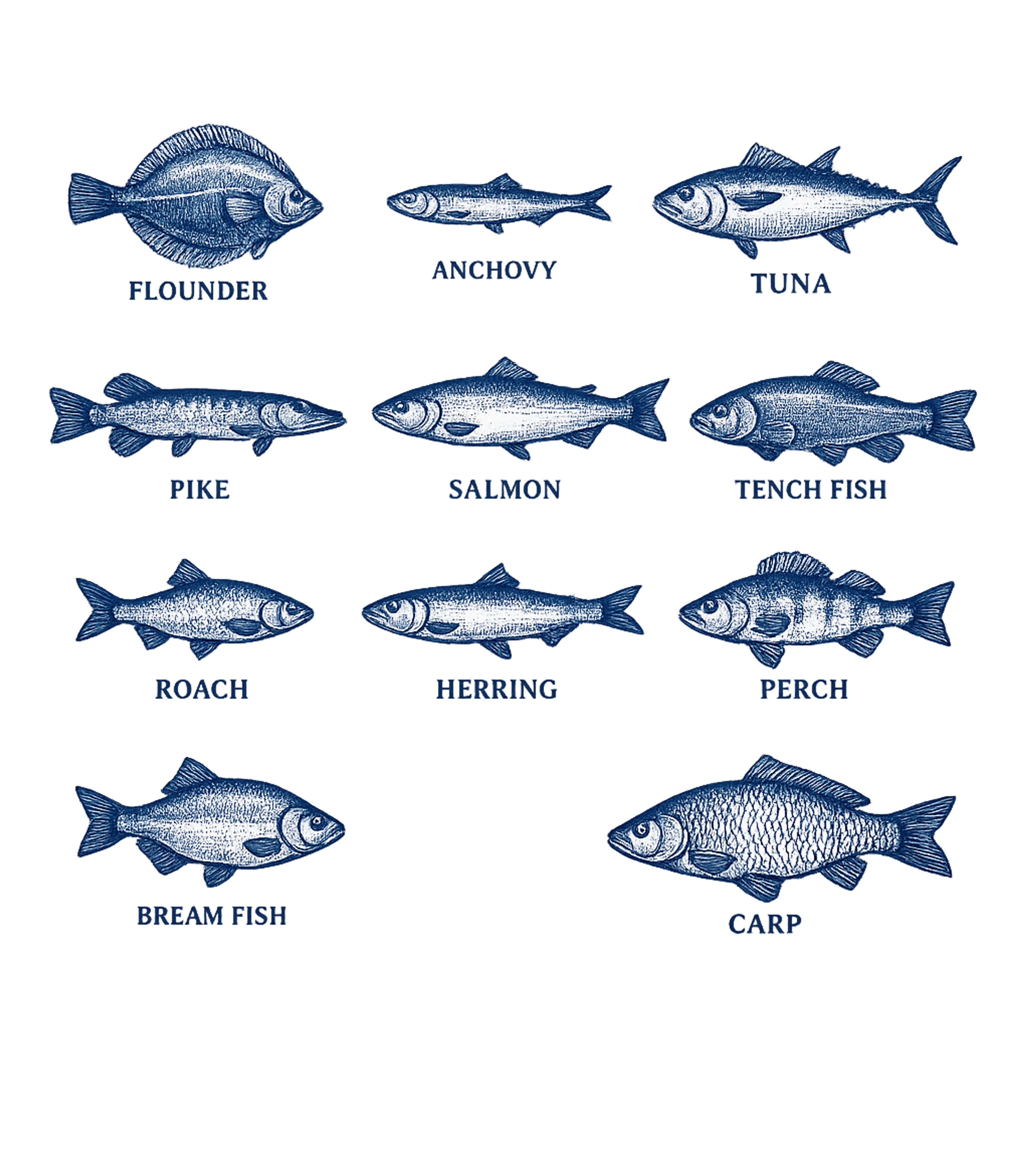 Vintage Fish Chart Fishing Premium T-Shirt featuring Showcase your love for aquatic life with this detailed t-shi – designed by Geoff Brown @ SunFrog Vintage Fish Chart Fishing Premium T-Shirt featuring Showcase your love for aquatic life with this detailed t-shi – designed by Geoff Brown @ SunFrog